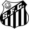 Brasão do Santos, Logo do Santos