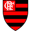 Brasão do Flamengo, Logo do Flamengo