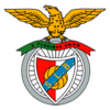 Brasão do Benfica, Logo do Benfica