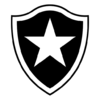Brasão do Botafogo, Logo do Botafogo