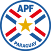 Brasão do Paraguai, Logo do Paraguai