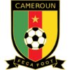 Brasão do Camarões, Logo do Camarões